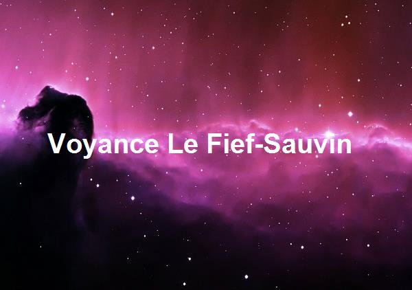 Voyance Le Fief-Sauvin