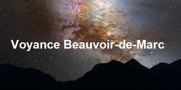 Voyance Beauvoir-de-Marc