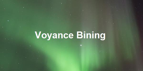 Voyance Bining