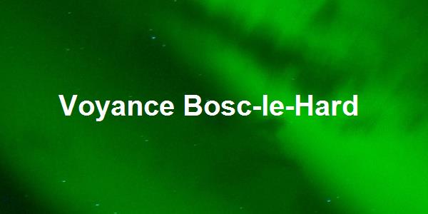 Voyance Bosc-le-Hard