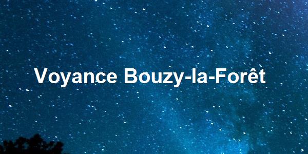 Voyance Bouzy-la-Forêt