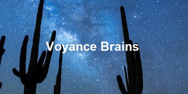 Voyance Brains