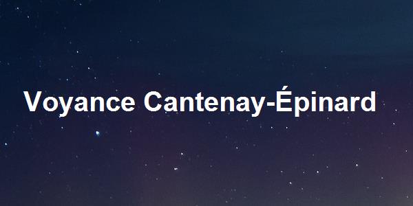 Voyance Cantenay-Épinard