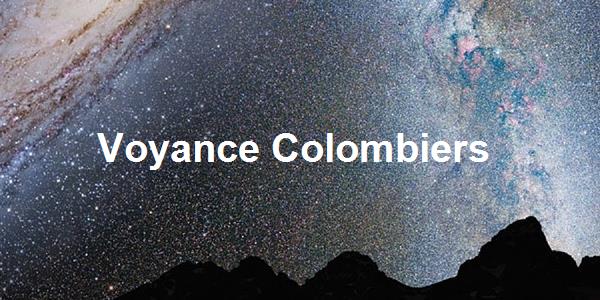 Voyance Colombiers