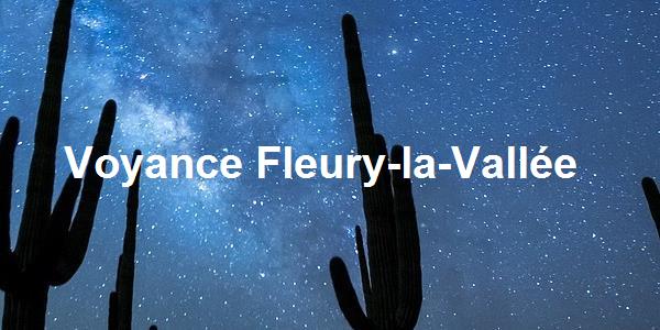Voyance Fleury-la-Vallée
