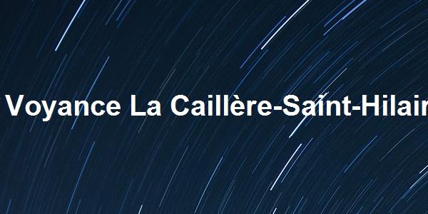 Voyance La Caillère-Saint-Hilaire