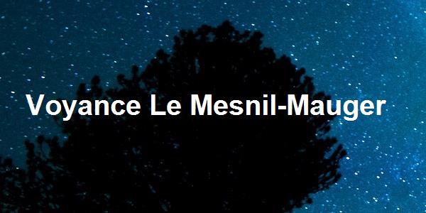 Voyance Le Mesnil-Mauger