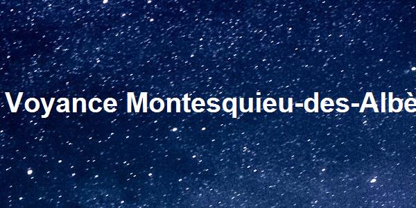 Voyance Montesquieu-des-Albères