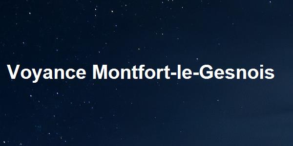Voyance Montfort-le-Gesnois