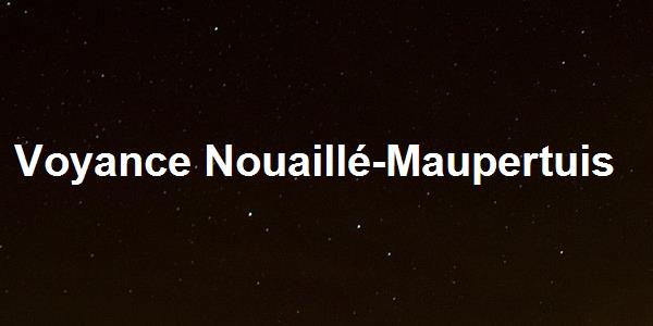 Voyance Nouaillé-Maupertuis