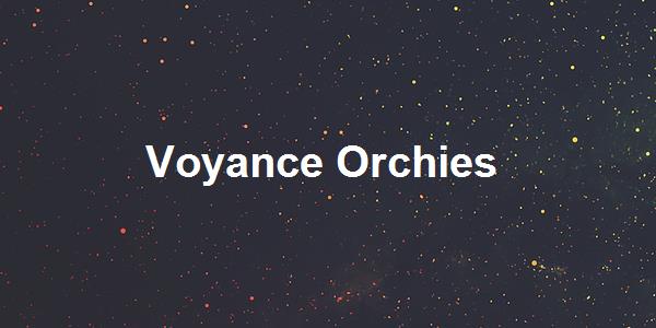 Voyance Orchies