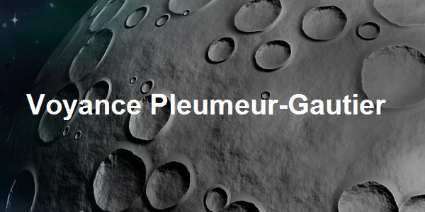 Voyance Pleumeur-Gautier