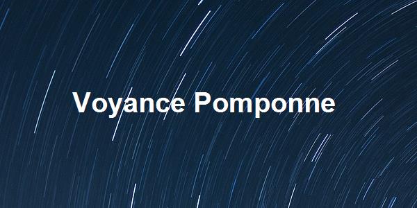Voyance Pomponne