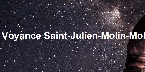 Voyance Saint-Julien-Molin-Molette