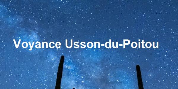 Voyance Usson-du-Poitou